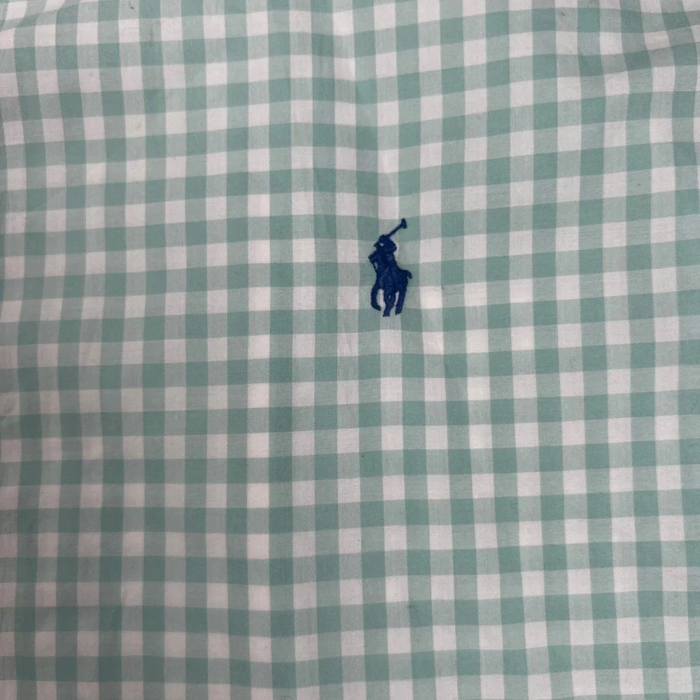 Polo Ralph Lauren Mens 2LT Green Gingham Check Stretch Cotton Button Down Shirt